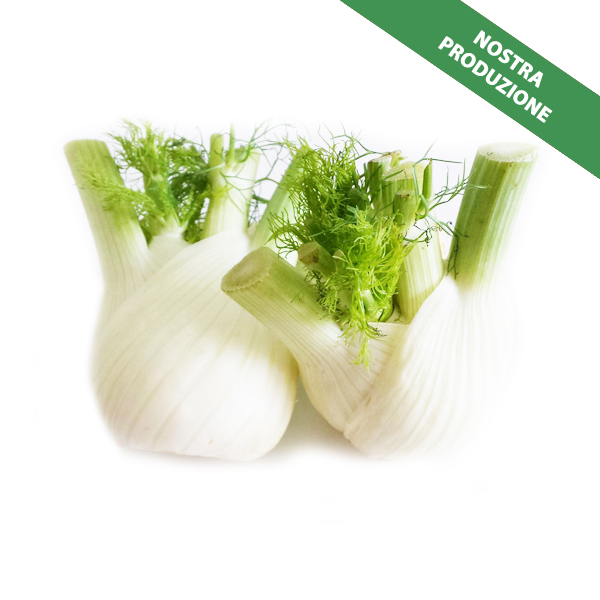 Finocchi (1 kg)